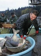 Výlov Jaroslavického rybníka