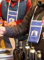 Májové otevřené sklepy a Koncert pod hvězdami