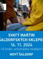 Svatý Martin v Šaldorfských sklepech