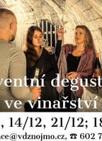 Komentovaná adventní degustace ve Vinařství Nešetřil