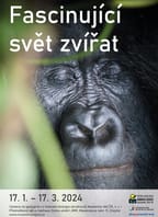 Fascinující svět zvířat