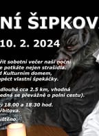 Noční šipkovaná v Miroslavi