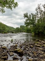 Komentovaná vycházka „Proměny řeky Dyje“