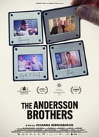 Bratři Anderssonovi 2D/T