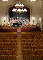 Rumunský orchestr a Daniel Ciobanu