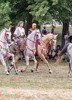 Jezdecký turnaj na Znojemském hradě – Štvanci