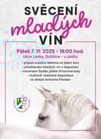 Svěcení mladých vín v Dobšicích