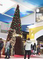 Black Friday Weekend ve Freeportu