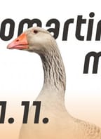 Svatomartinské menu ve Vinařství LAHOFER