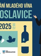 Chutnání mladého vína v Jaroslavicích