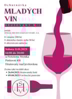 Hrušovanská ochutnávka mladých vín