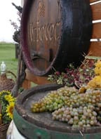 Posvícenské koštování ve Vrbovci