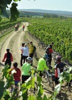 Tour de burčák po vinařských stezkách Znojemska