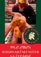 Jednovaječný večer pro osamělé u Old Cocka