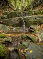 Vycházka do srdce Národního parku Thayatal