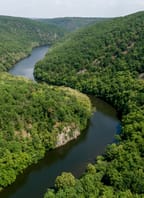 Příroda Evropského zeleného pásu