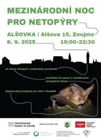 Mezinárodní noc pro netopýry