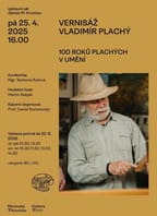 Výstava 100 roků Plachých v umění