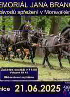 Memoriál Jana Branče – závody koňských spřežení