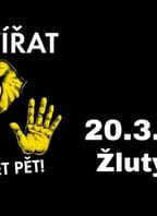 Sto zvířat – Pardubice