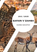 Safari v Zambii