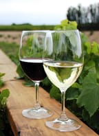 Degustace vín na zámečku