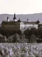 Politicko-hosp. situace mužských řeholních rodin 1945-49