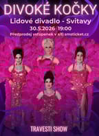 Travesti show Divoké kočky ve Svitavách