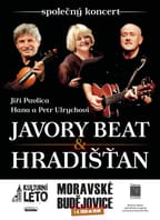 Jiří Pavlica, Hradišťan & Hana a Petr Ulrychovi, Javory Beat