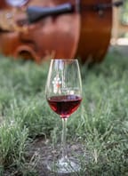 Letní Chvalovice s vínem a hudbou