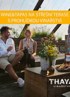Wine & Tapas na střeše Vinařství THAYA