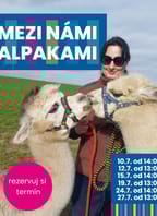 Mezi námi alpakami