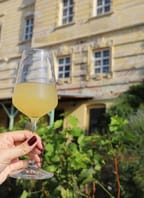 Vinobraní v Louckém klášteře