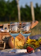 Letní noc na vinici ve Vrbovci