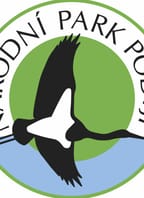 Jak fungují koně v lese?