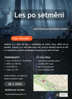 Les po setmění: zážitková procházka lesem