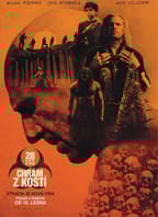 28 let poté: Chrám z kostí 2D/T