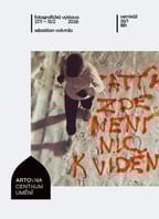 ZATÍM ZDE NENÍ NIC K VIDENÍ | SEBASTIAN VOŠVRDA