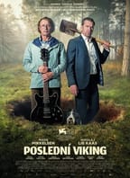 Poslední Viking 2D/T