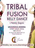 Pravidelné taneční lekce s Nataly Sagres