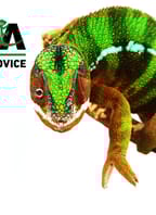 TERA České Budějovice