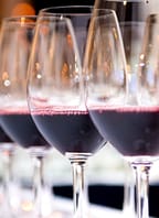 Základy sommelierství, vína a vinařství ČR