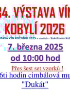 Regionální výstava vín s mezinárodní účastí Kobylí