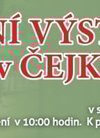 Tradiční výstava vín Čejkovice