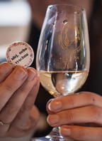 Den vína v Buchlovicích