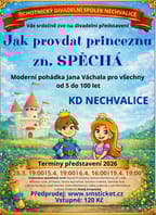 Jak provdat princeznu Zn. Spěchá