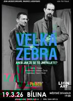 Velká zebra v Bílině