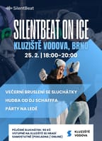 SilentBeat on Ice