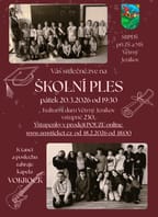 ŠKOLNÍ PLES