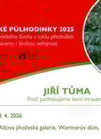 Akademické půlhodinky: Proč potřebujeme lesní mravence